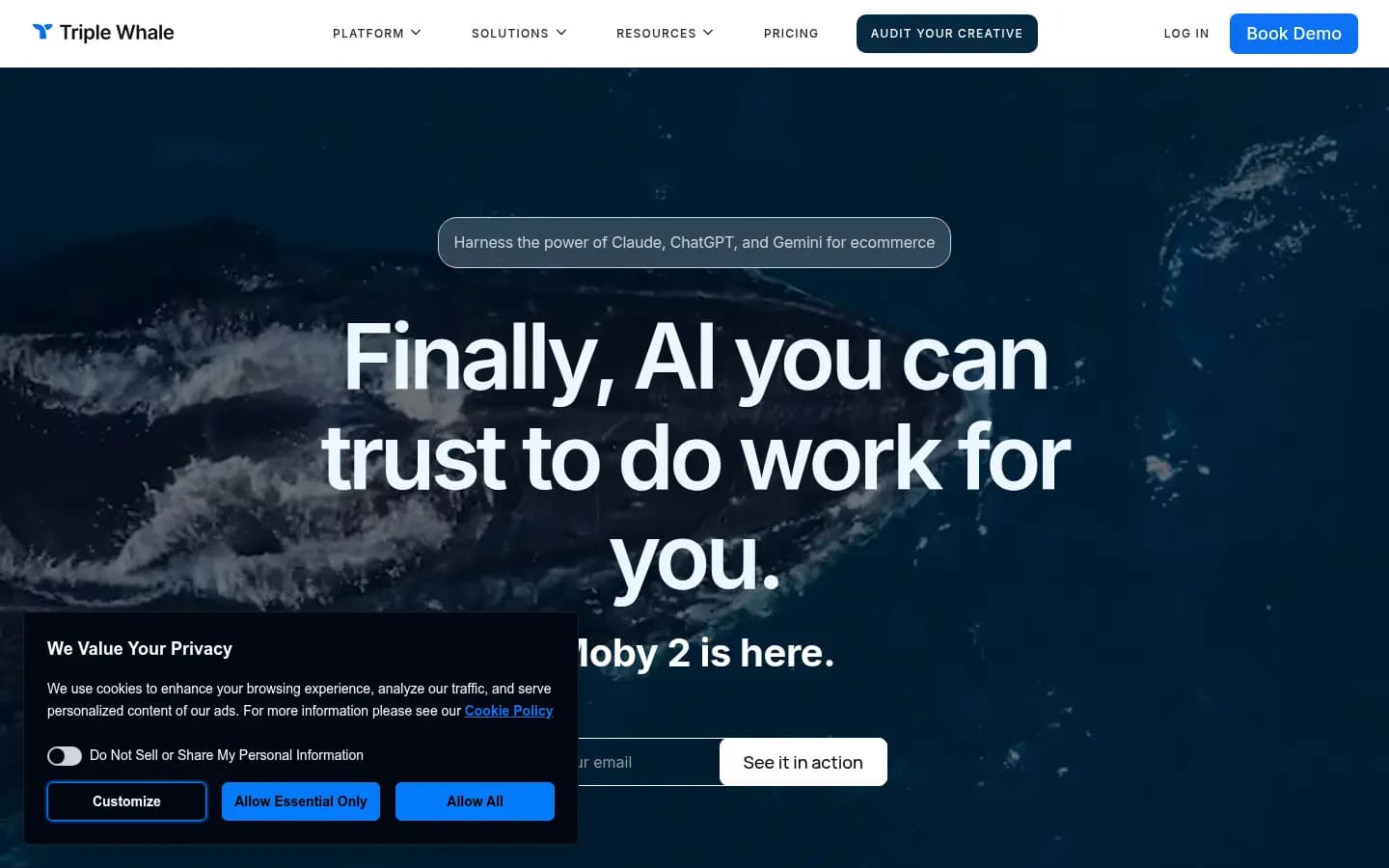 Triple Whale Moby AI — dominant ecommerce attribution agent for Shopify brands